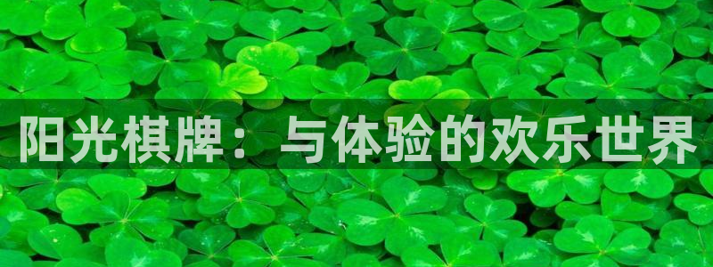 中国银河官网下载：阳光棋牌：与体验的欢乐世界