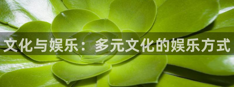 22top银河官网入口：文化与娱乐：多元文化的娱乐方式